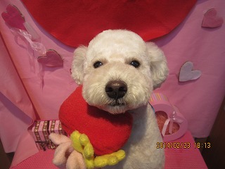 ファイル 7168-2.jpg