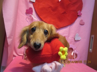 ファイル 7169-1.jpg