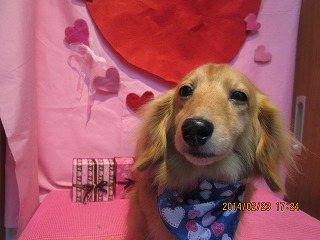 ファイル 7169-2.jpg