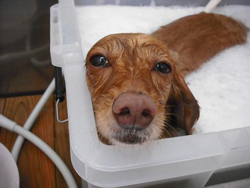 ファイル 717-2.jpg