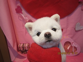 ファイル 7170-1.jpg