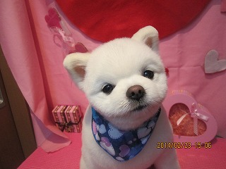 ファイル 7170-2.jpg