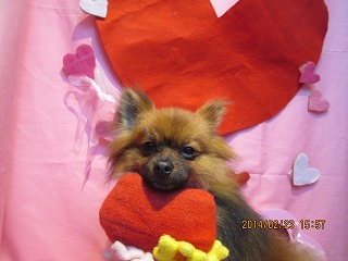 ファイル 7171-1.jpg