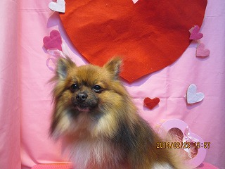 ファイル 7171-2.jpg