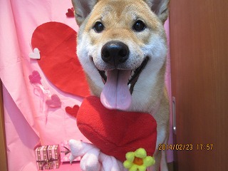 ファイル 7172-1.jpg