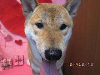 ファイル 7172-2.jpg