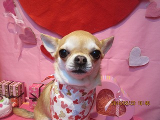 ファイル 7173-1.jpg