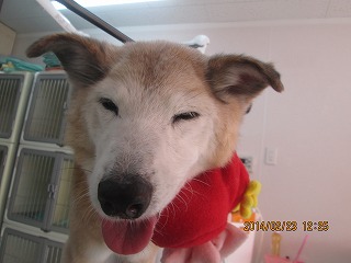 ファイル 7174-2.jpg