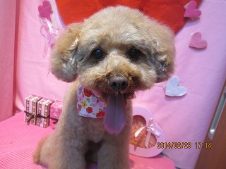 ファイル 7175-1.jpg