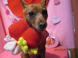 ファイル 7176-1.jpg