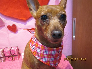 ファイル 7176-2.jpg