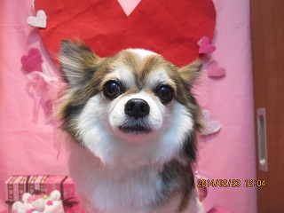 ファイル 7177-2.jpg