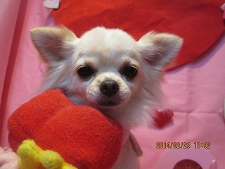 ファイル 7178-1.jpg