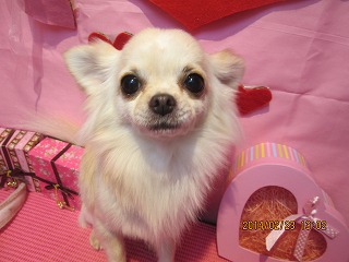 ファイル 7178-2.jpg