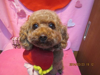 ファイル 7179-1.jpg