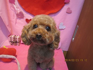 ファイル 7179-2.jpg