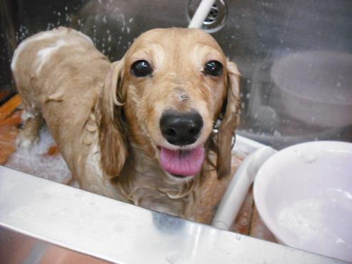 ファイル 718-2.jpg