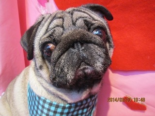 ファイル 7180-2.jpg