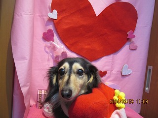 ファイル 7182-1.jpg