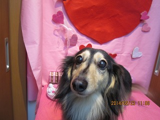 ファイル 7182-2.jpg