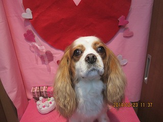 ファイル 7183-2.jpg