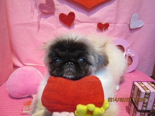 ファイル 7184-1.jpg