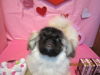 ファイル 7184-2.jpg