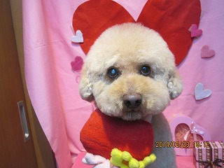 ファイル 7185-1.jpg