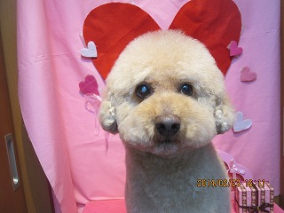 ファイル 7185-2.jpg