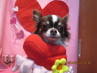 ファイル 7186-1.jpg