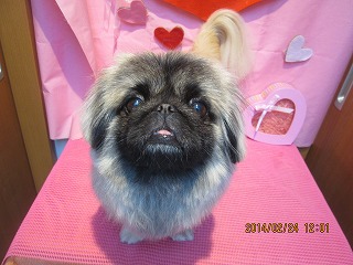 ファイル 7187-1.jpg