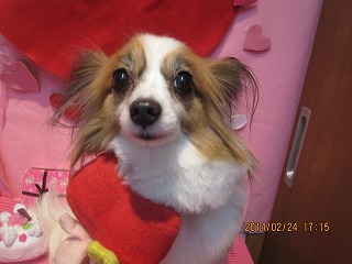 ファイル 7188-1.jpg