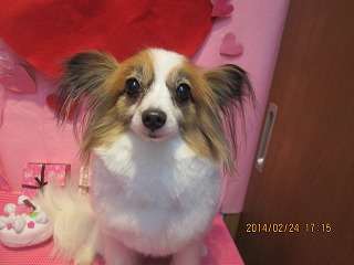 ファイル 7188-2.jpg