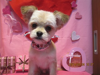 ファイル 7189-2.jpg