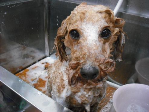 ファイル 719-2.jpg