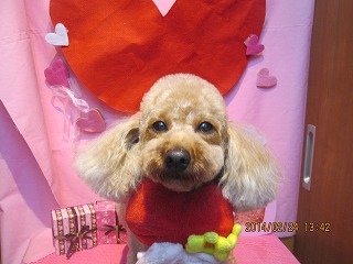 ファイル 7190-1.jpg