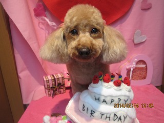 ファイル 7190-2.jpg