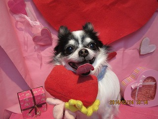 ファイル 7191-1.jpg