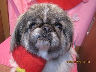 ファイル 7192-1.jpg