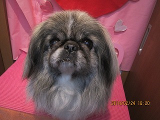 ファイル 7192-2.jpg