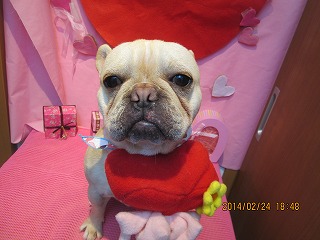 ファイル 7193-1.jpg