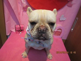 ファイル 7193-2.jpg