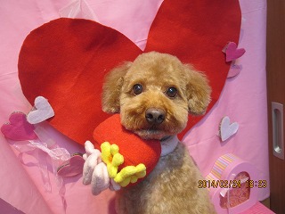 ファイル 7194-1.jpg