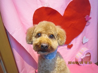 ファイル 7194-2.jpg