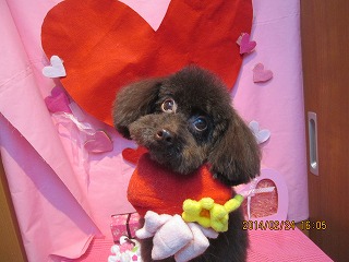 ファイル 7195-1.jpg