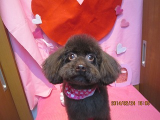 ファイル 7195-2.jpg