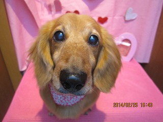 ファイル 7196-2.jpg