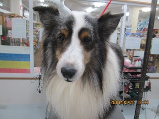 ファイル 7198-2.jpg