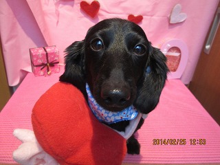 ファイル 7199-1.jpg