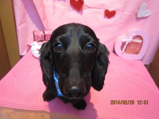 ファイル 7199-2.jpg